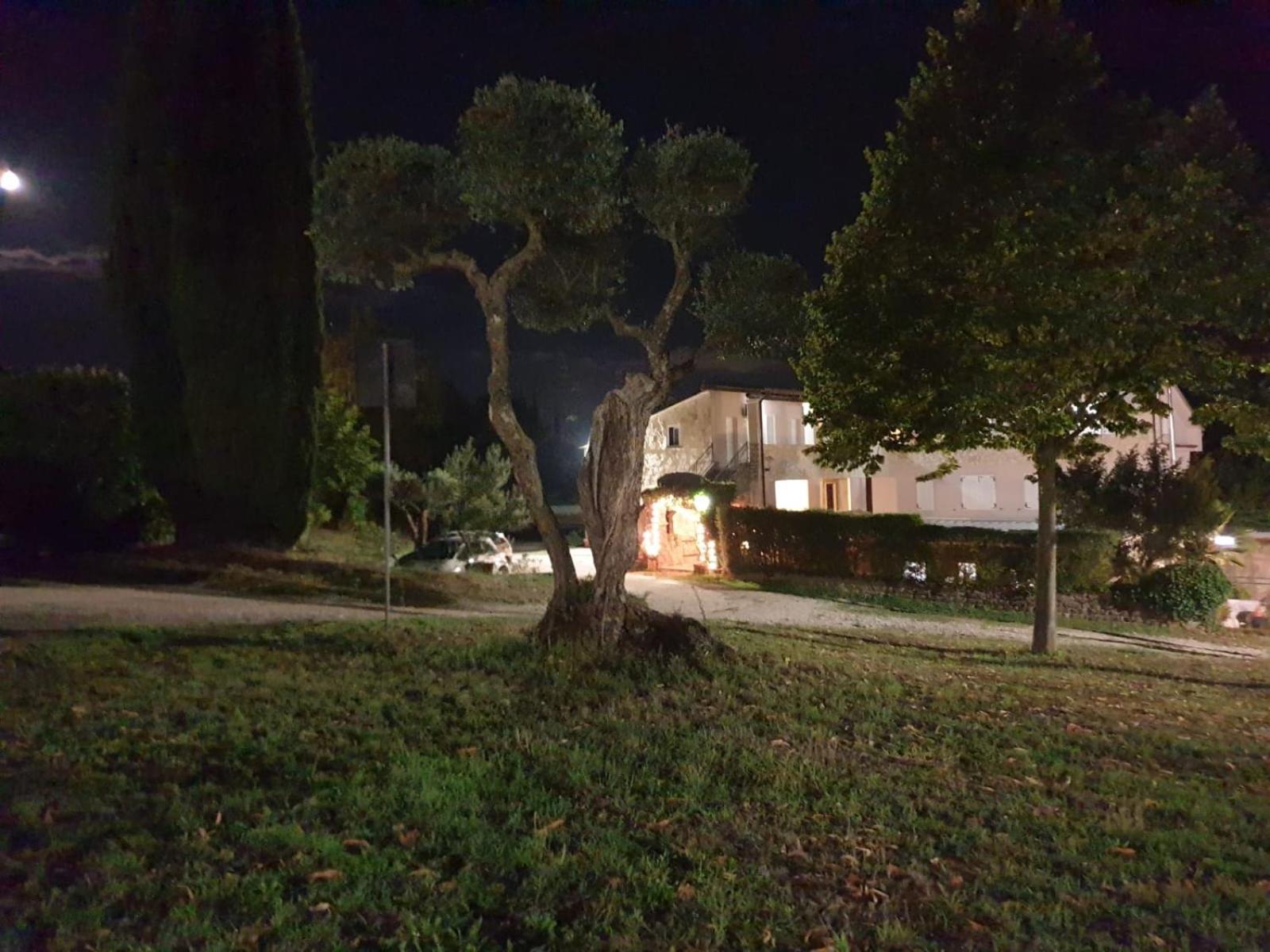 Agriturismo Le Querce Bomarzo Dış mekan fotoğraf